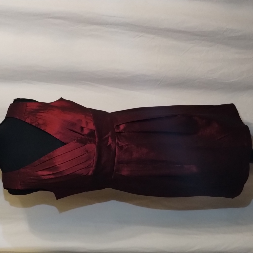 Calvin Klein Deep Red Mini Dress